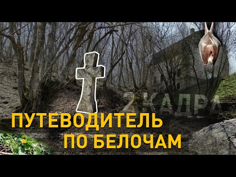 Видео: Путеводитель по Белочам. 2 кадра 08.04.2021