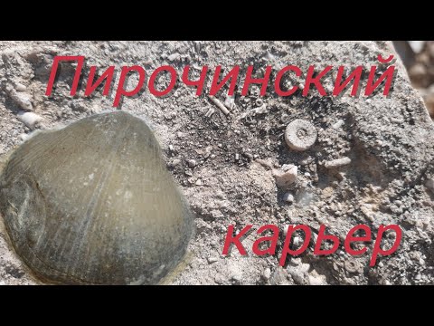 Видео: Пирочинский карьер. Кто такие брахиоподы.