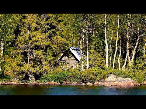 Видео: Рыболовное путешествие по Швеции. [Серия 5] Дикий жор на хариусном озере!