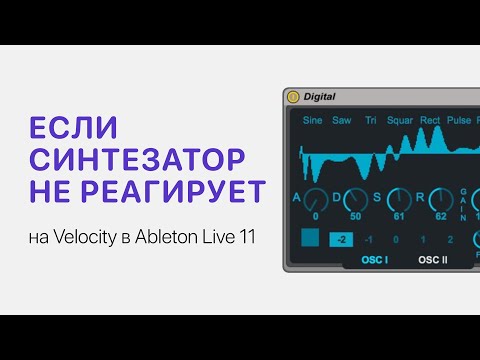Видео: Если синтезатор не реагирует на Velocity в Ableton Live 11 [Ableton Pro Help]