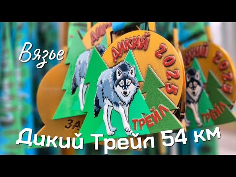 Видео: Дикий Трейл 01.11.2025