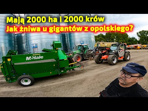 Видео: Им еще предстоит скосить 600 га пшеницы👉 Сразу ли заработает новое приобретение?