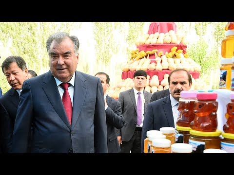 Видео: Пешвои миллат Эмомалӣ Раҳмон дар Ховалинг аз намоишгоҳи маҳсулоти кишоварзӣ дидан карда, бо ҷара...