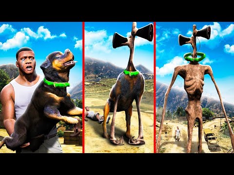 Видео: ФРАНКЛИННІҢ ИТІ СИРЕНОГОЛОВЫЙҒА АЙНАЛЫП КЕТТІ МА? (GTA V)