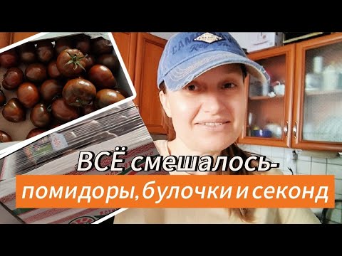 Видео: ВЛОГ🇧🇬. ВСЁ СМЕШАЛОСЬ-2 ЯЩИКА ПОМИДОР🍅🍅, БУЛОЧКИ🥐 и СЕКОНД👗👚👠