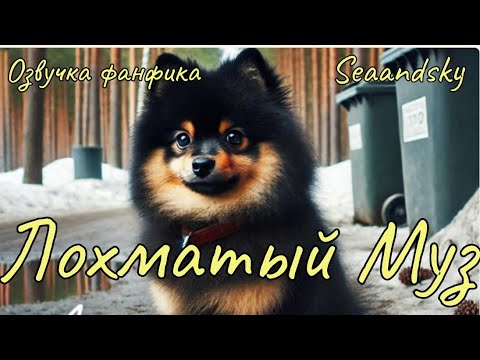 Видео: Лохматый Муз | Озвучка фанфика  | seaandsky БТСозвучка #bts #фанфик
