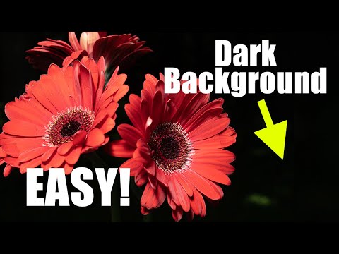 Видео: Как получить темный фон при съемке крупным планом