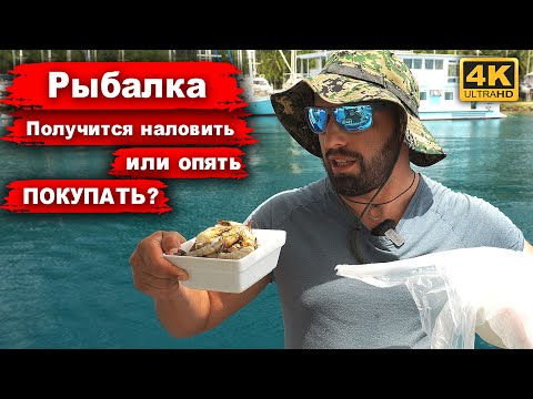 Видео: Поймал и съел. Хотели рыбалки? Легко ли наловить ужин в Панаме? На что клюет?