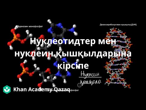 Видео: Нуклеотидтер мен нуклеин қышқылдарына кірсіпе  | Қазақ Хан Академиясы