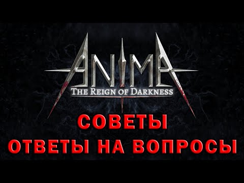 Видео: Anima arpg гайд ответы на вопросы