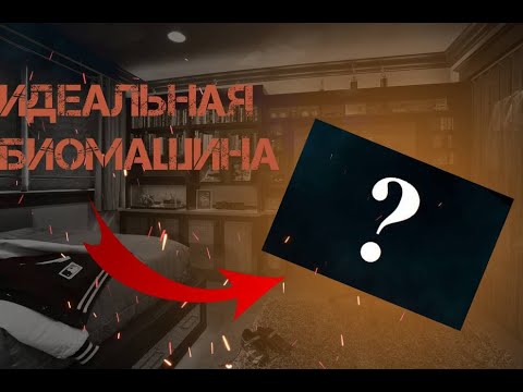 Видео: Как природа создала почти идеальную биомашину. Муравьи Lasius.