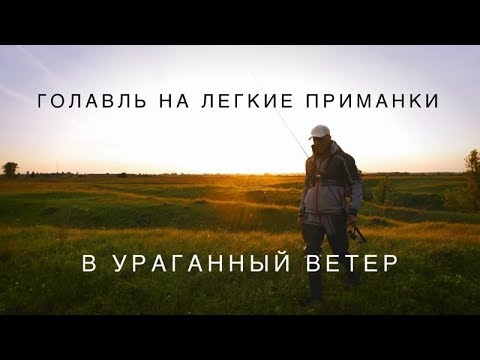 Видео: Как я договаривался с голавлём. Холодное лето 2017.