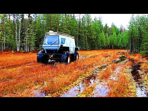 Видео: ВОЛК РЯДОМ! ЛОВУШКИ СРАБОТАЛИ! ТОНУ В РЕКЕ, "ВСЁ ТОПИТ" СТРАШНО!  ВЫЖИТЬ В ТАЕЖНЫХ УСЛОВИЯХ!