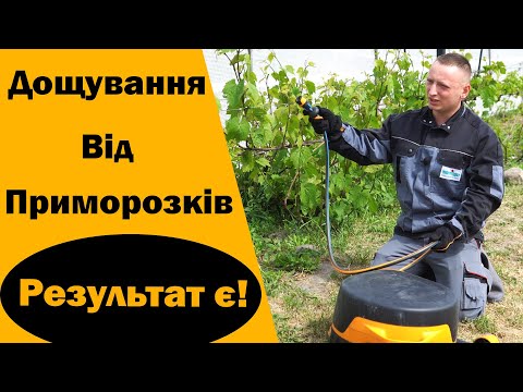 Видео: Дощування від приморозків + агроволокно - врятований виноградник! Як я боровся з заморозками