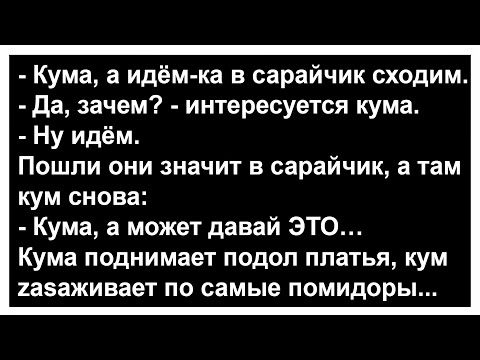 Видео: Кума, а идём ка в сарайчик сходим... Анекдоты! Сборник юмора!