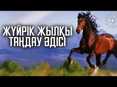 Видео: ЖЫЛҚЫНЫҢ ЖҮЙРІГІН ҚАЛАЙ ТАҢДАЙМЫЗ❓🐎 - Жылқы Жайлы