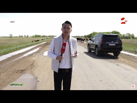 Видео: Трасса «Казталовка - Жанибек - граница РФ»: идеальная дорога с препятствиями | Дороги KZ