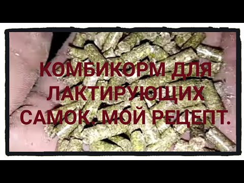 Видео: Полнорационный комбикорм для лактирующих самок. Мой рецепт.