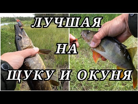 Видео: Лучшая приманка на щуку и окуня! 100%