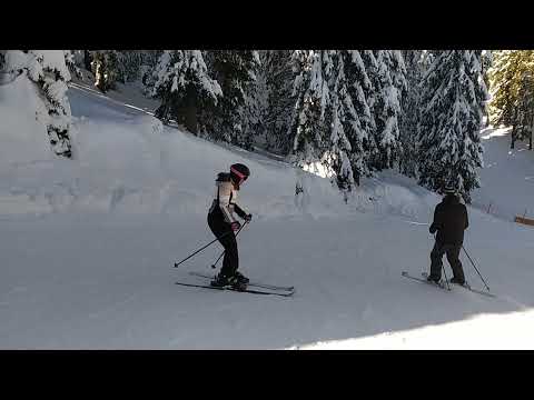 Видео: Ски писта за начинаещи Пампорово