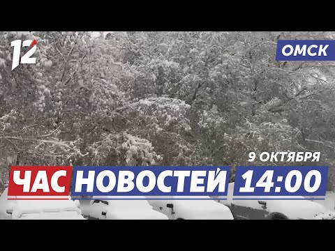 Видео: Сибирь в снегу / Киберпреступления / Майкл Маклауд в «Авангарде». Новости Омска