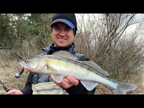 Видео: Секретная проводка Воротняка. Береговая ловля Судака весной.