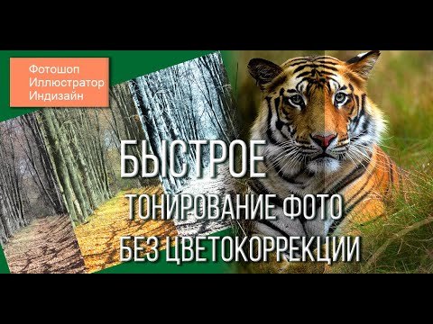 Видео: Быстрое тонирование фото на основе другой фотографии. Хитрости фотошопа