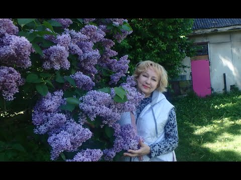 Видео: примерки и что носилось последние 5 лет