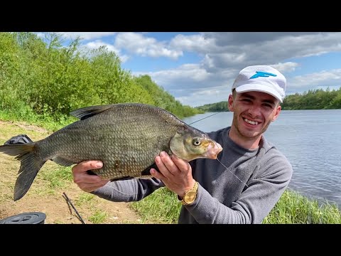 Видео: Офигенные лещи или Трофейная рыбалка на реке З.Двина