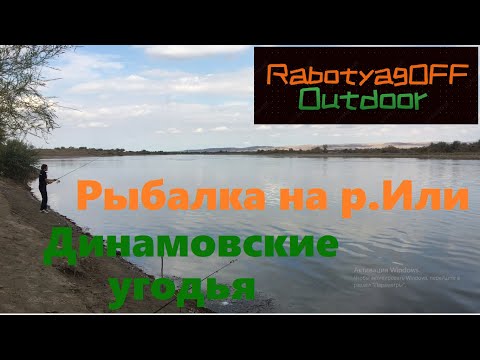 Видео: Рыбалка на р.Или(вторая попытка). Динамовские угодья.Вобла,жерех.Ураган.