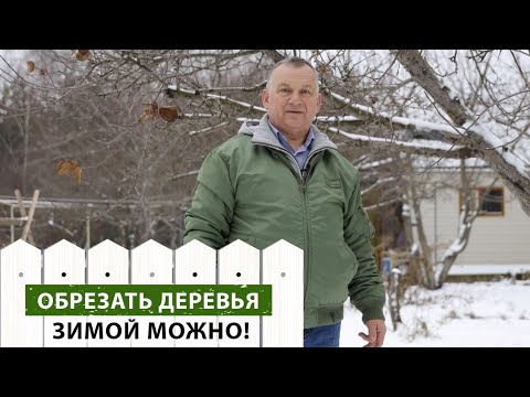 Видео: Можно ли обрезать деревья зимой? Экспертное мнение специалиста.