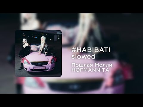 Видео: Пошлая Молли, HOFMANNITA - #HABIBATI (slowed+reverb)