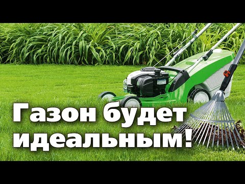 Видео: Весенний уход за газоном. Обязательные работы