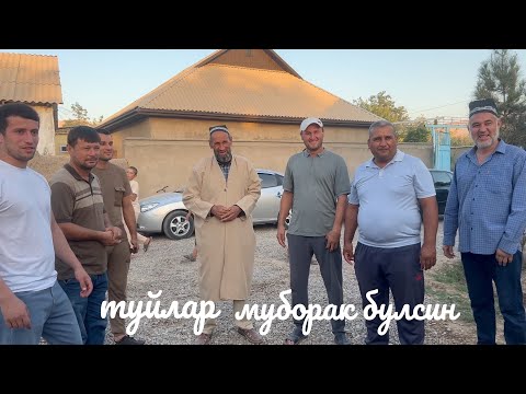 Видео: кизил нишонга "Яна бир тўй бўлиб ўтди