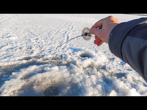 Видео: Я ДАВНО МЕЧТАЛ СЮДА ПОПАСТЬ! КИВОК ВНИЗ на ГЛУБИНЕ! Рыбалка на безмотылку зимой в 2025