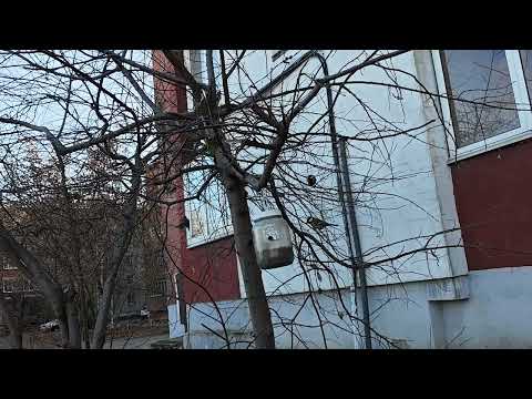 Видео: В каждой очереди, есть внеочередной!