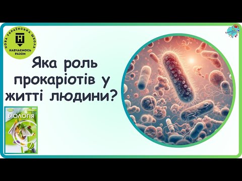 Видео: Яка роль прокаріотів у житті людини