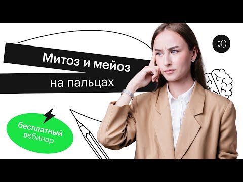 Видео: Митоз и мейоз на пальцах | ЕГЭ БИОЛОГИЯ 2022 | СОТКА