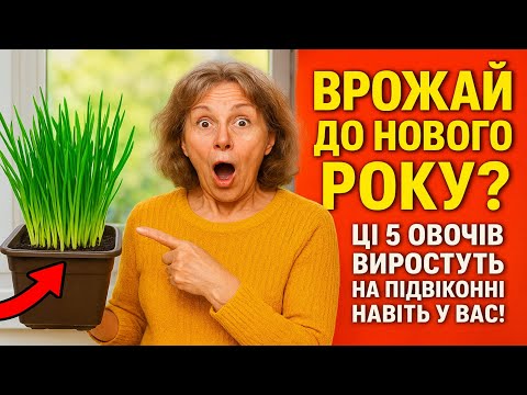 Видео: ВРОЖАЙ ДО НОВОГО РОКУ? 🎄 Ці 5 овочів виростуть на підвіконні навіть у вас!