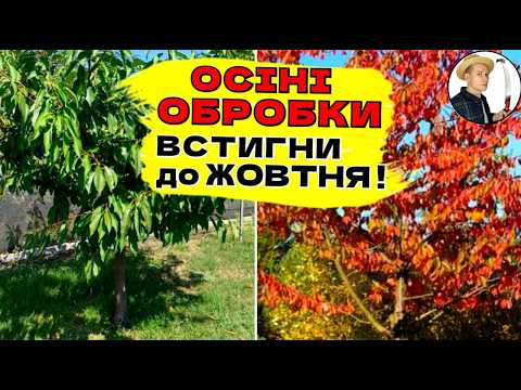 Видео: ВИКОРІНЮЮЧА ОБРОБКА САДУ ВОСЕНИ -  Вересень та Жовтень