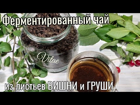 Видео: ФЕРМЕНТИРОВАННЫЙ ЧАЙ из листьев ВИШНИ и ГРУШИ простой рецепт в домашних условиях.