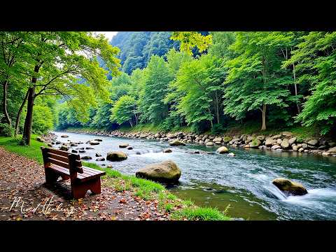 Видео: Музыкальная терапия 🌿Успокаивает нервную систему и освежает душу, расслабляя #24