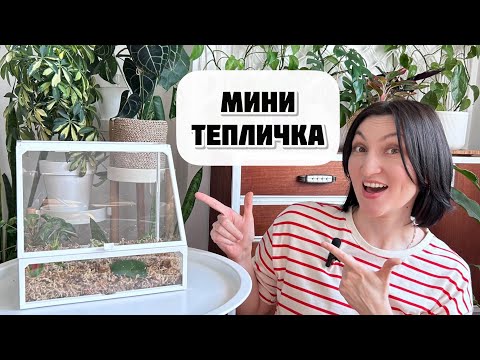 Видео: Я говорю "НЕТ" стрёмным тепличкам с пакетом. Клевый аналог Икеевской мини теплички.