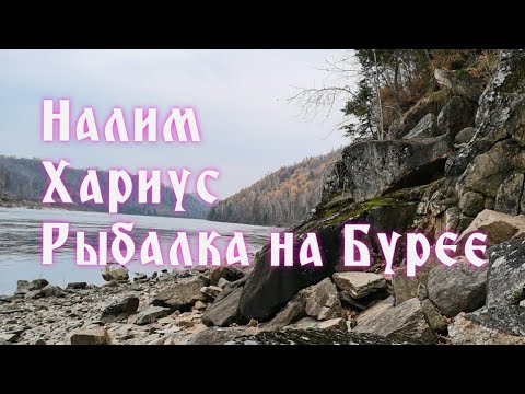 Видео: Налим. Хариус. Рыбалка в Амурской области на реке Бурея. Закрытие сезона открытой воды 2020.