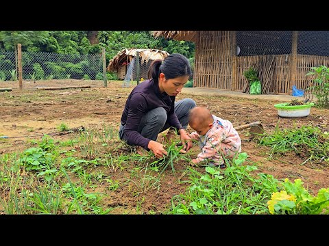 Видео: Жизнь Ли Тиу Ка, матери-одиночки, которая стремится преодолеть трудности