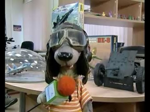 Видео: 🛩️Модели самолетов - 08 - По секрету всему свету (Шишкин лес)