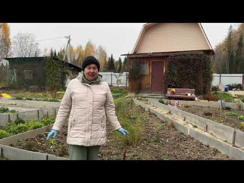 Видео: УБИРАЮ НА ХРАНЕНИЕ ГЕОРГИНЫ И ГЛАДИОЛУСЫ