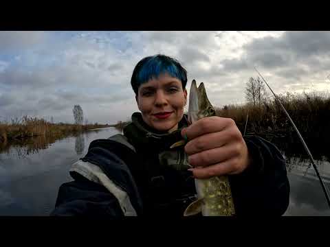 Видео: РЫБАЛКА НА КАЯКЕ. Щука среди камыша на КРУЖКИ И СПИННИНГ. #375