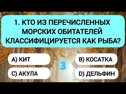 Видео: 10 правильных ответов - и ваш мозг в порядке
