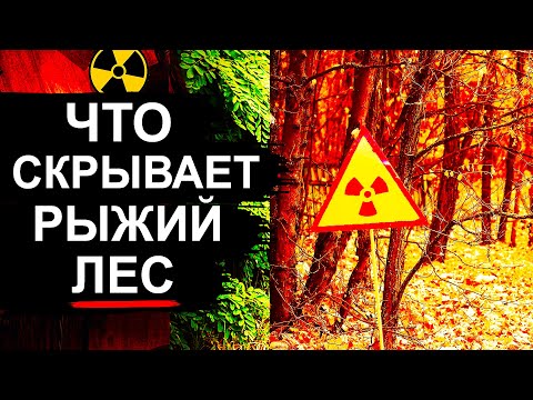 Видео: Чернобыль. Что скрывает рыжий лес ?